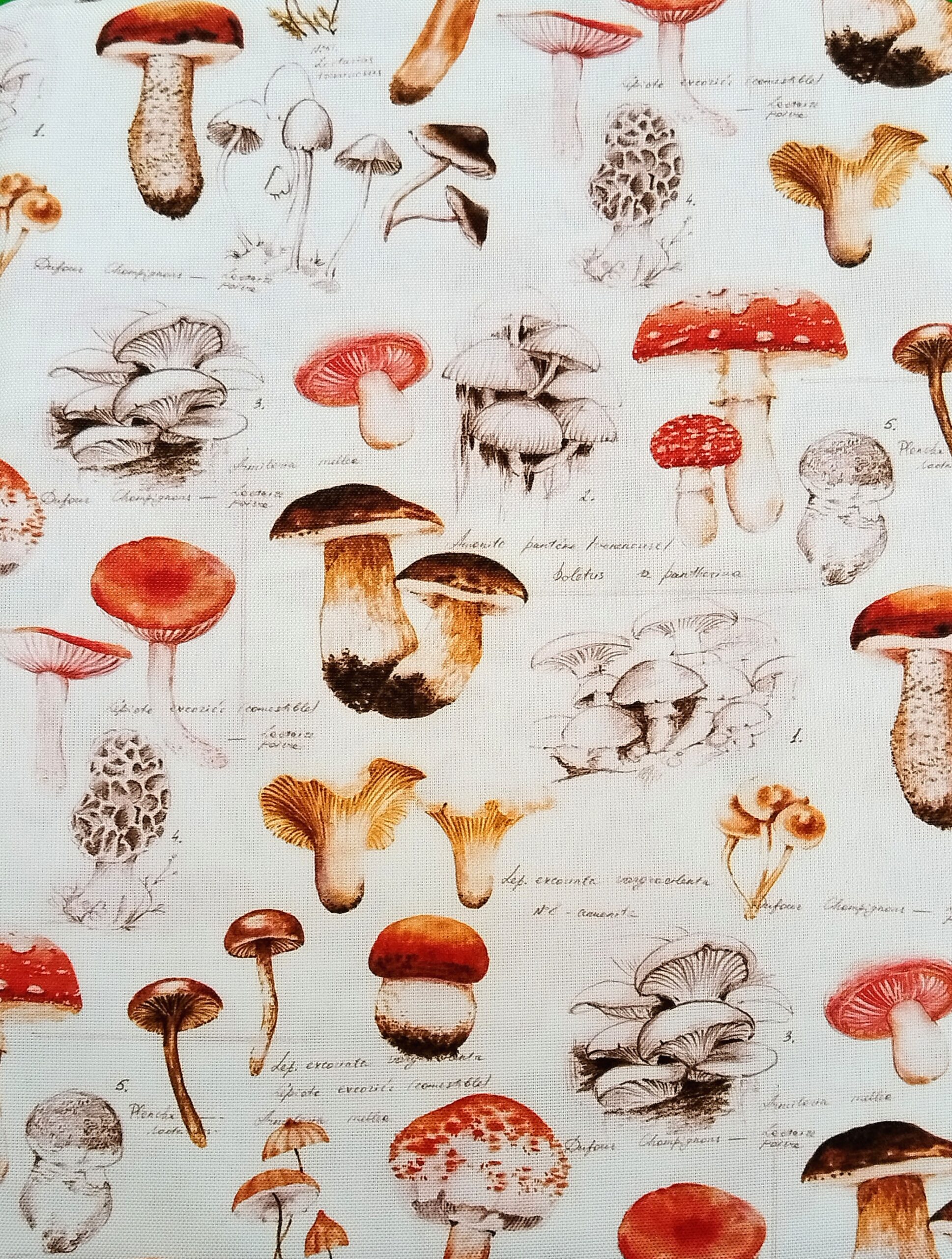 smart Mushroom - Kitchen Curtain - Image 1